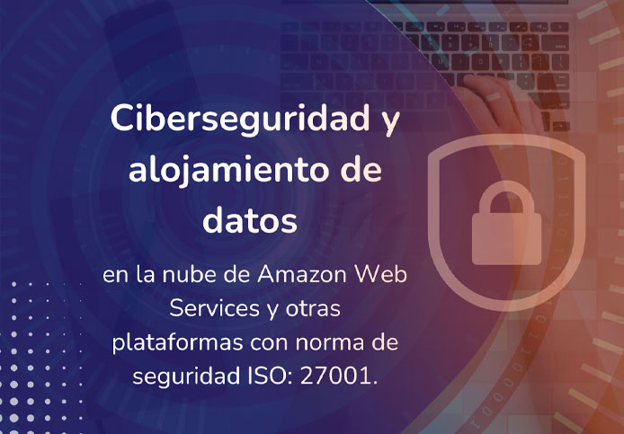 Ciberseguridad y alojamiento de datos en Go